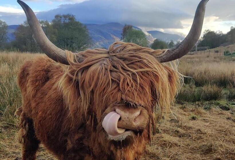 Bed and Breakfast Springburn Farmhouse