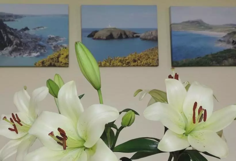 Fern Villa B&b