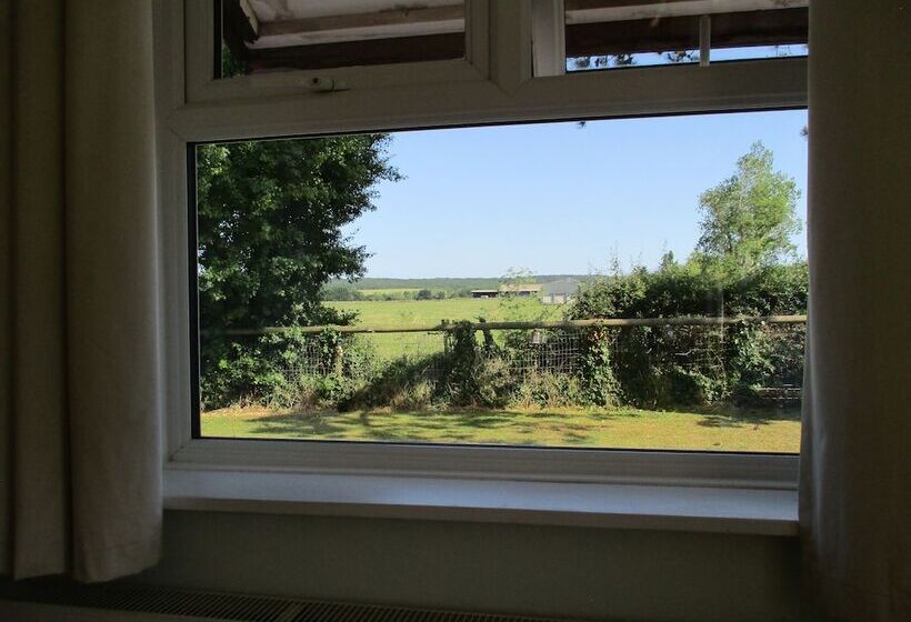 Hillview Bed And Breakfast