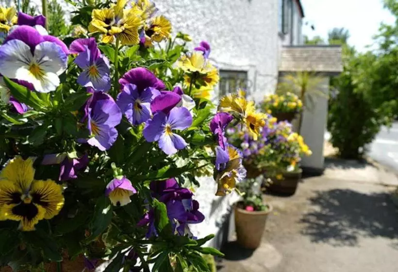 Hotel The Tytherleigh Arms