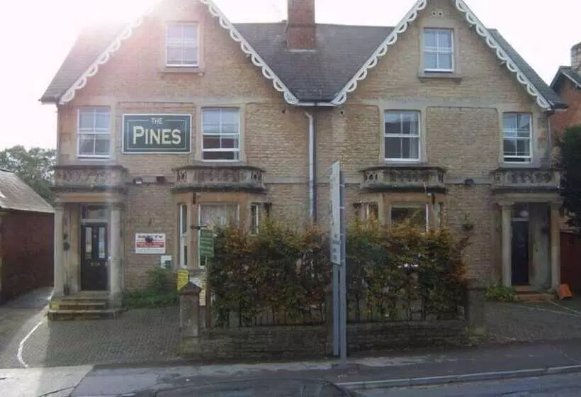 Aamiaismajoitus (B&B) The Pines Guest Accommodation