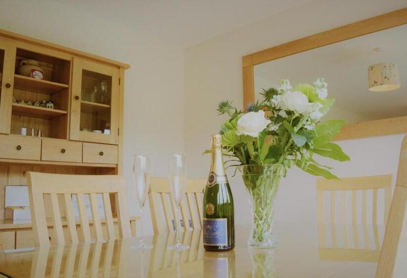 住宿加早餐 Torcastle House