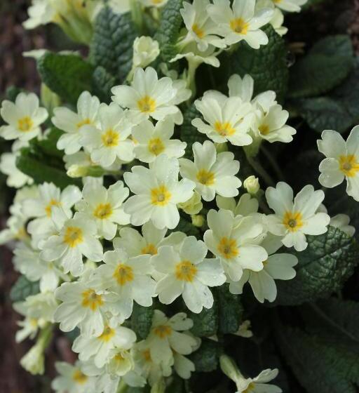 住宿加早餐 Torcastle House