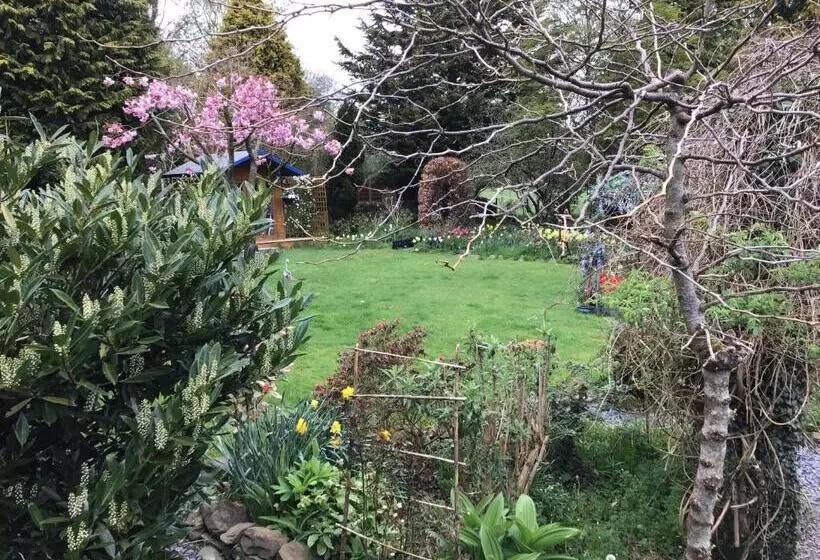 The Haven B&b