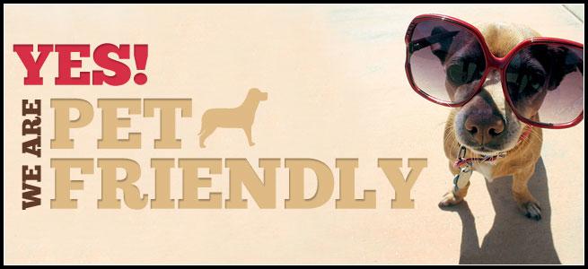 住宿加早餐 Capital