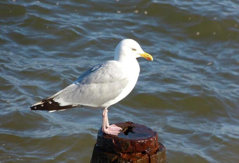 住宿加早餐 The Thornhill