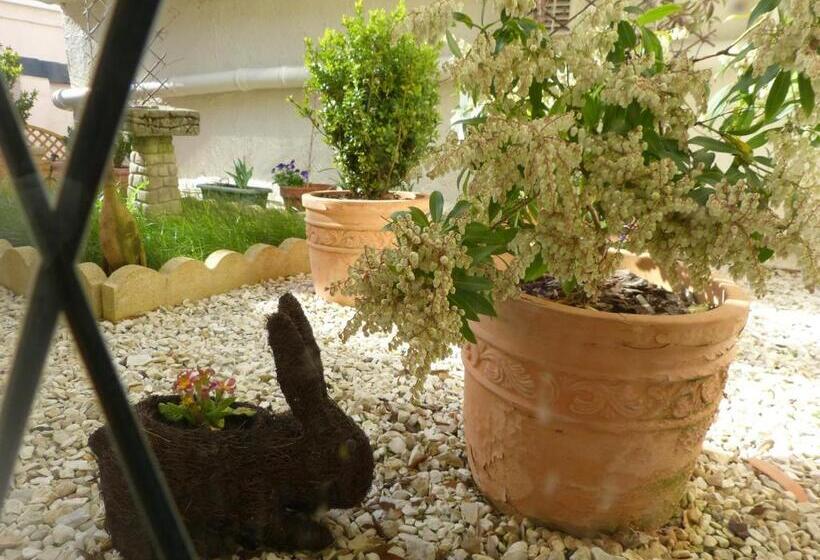 住宿加早餐 The Thornhill