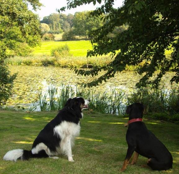 فندق Abbey Farm Bed And Breakfast