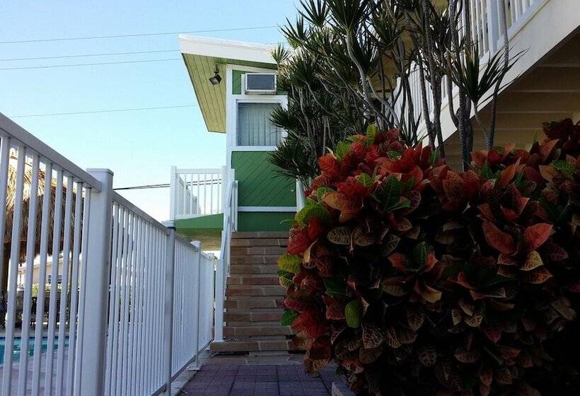 فندق على الطريق The Palms On Ocean