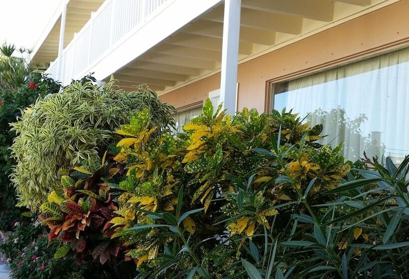 فندق على الطريق The Palms On Ocean