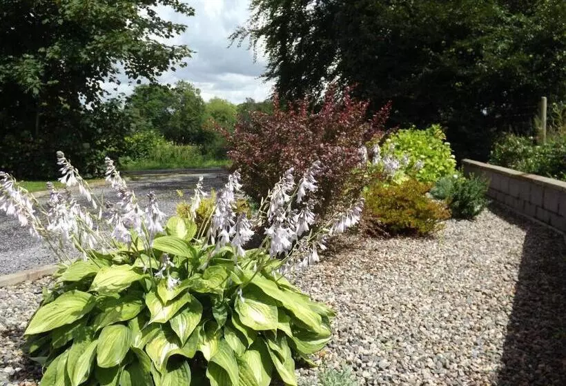The Laurels Bed & Breakfast Lodge
