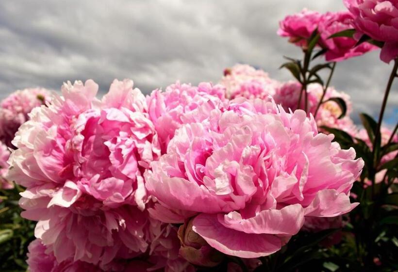 Bed & Breakfast Arroyo Escondido