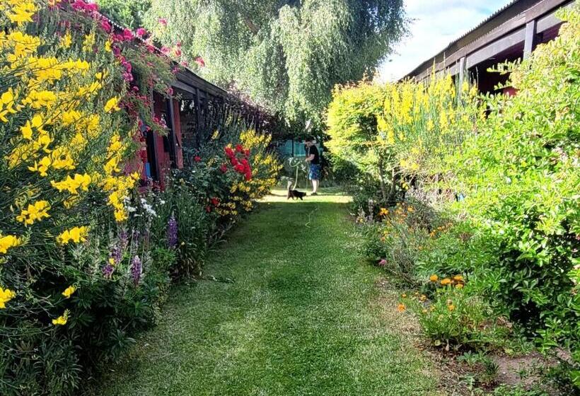 تختخواب و صبحانه Lago Argentino Hostel