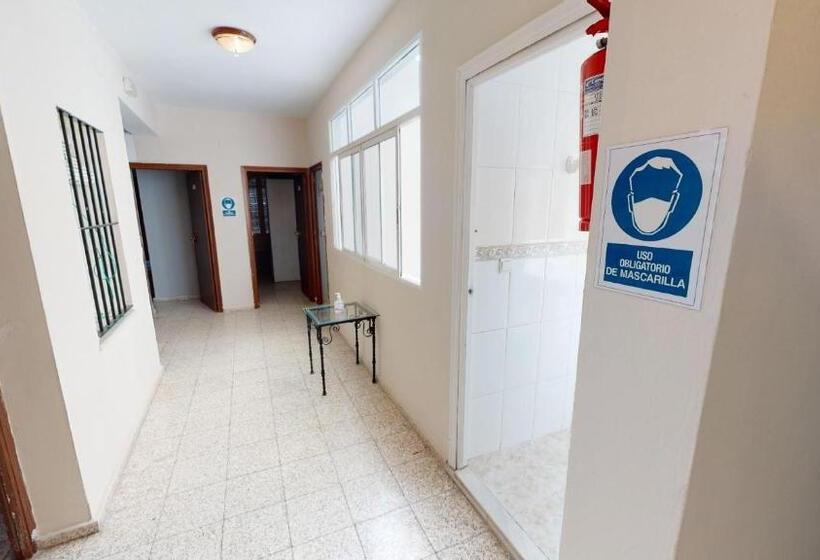 هتل Pension Gala
