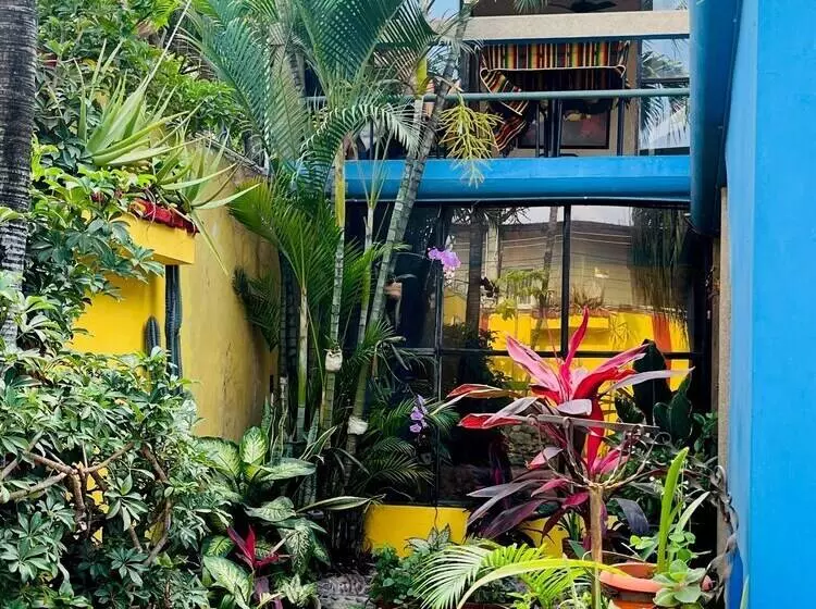 Dreamkapture Hostel Close To The Airport And Bus Terminal