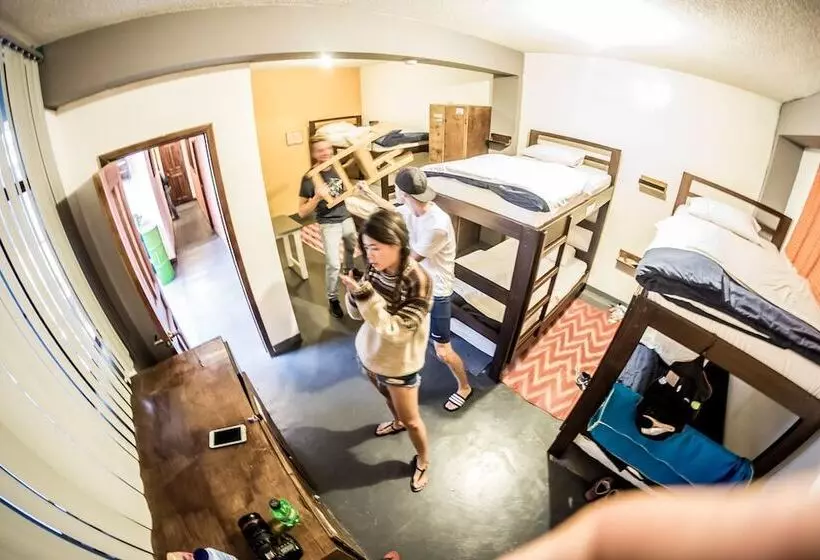 Minka Hostel