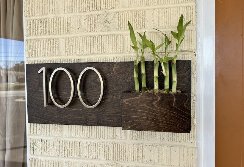 בית מלון כפרי New South Motor Inn