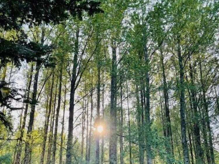 فندق Tom S Lodge