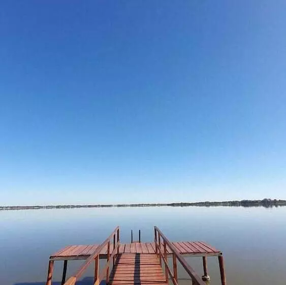 Olivos De Monte