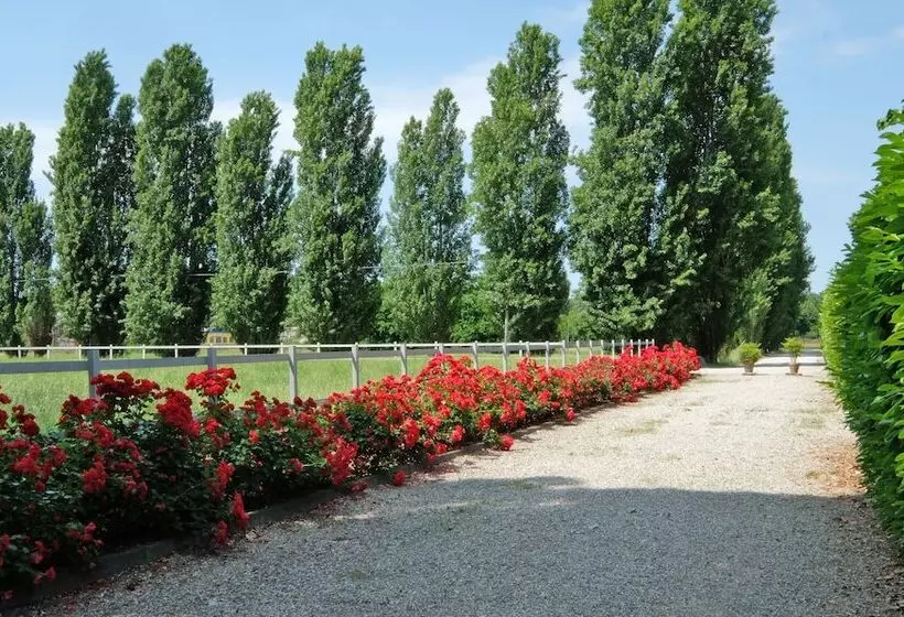 Aamiaismajoitus (B&B) Agriturismo Il Leone Della Torre