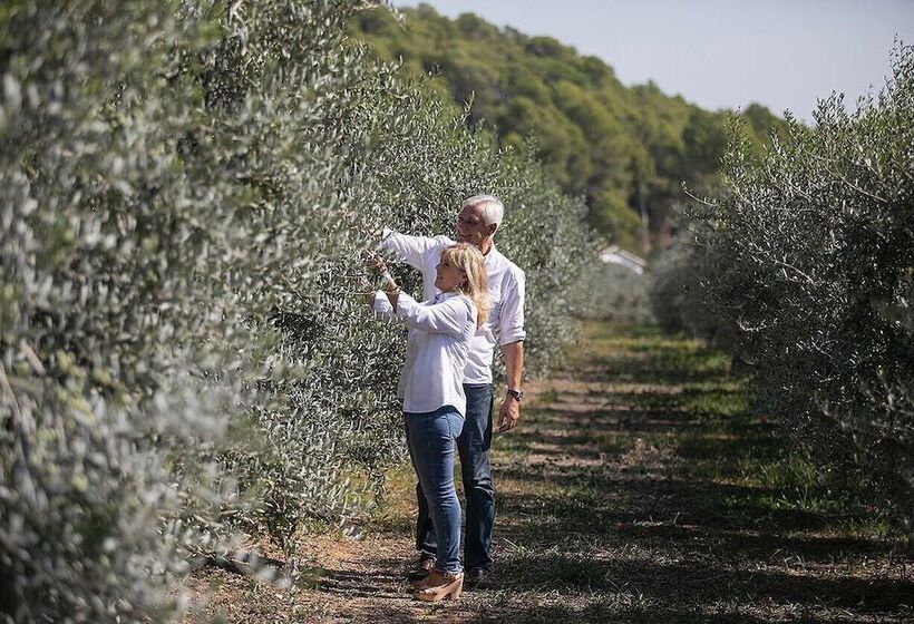 Masia Can Viver Olive Oil Tourism B&b