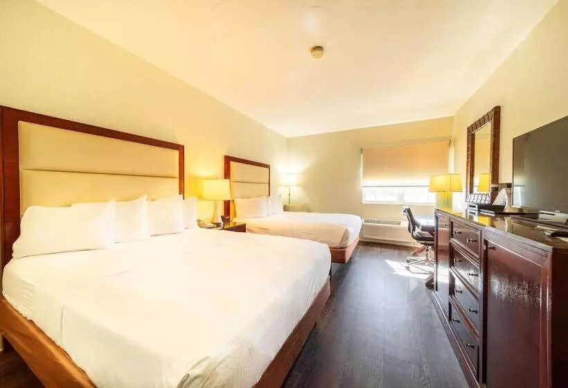 ホテル South Branch Inn Moorefield