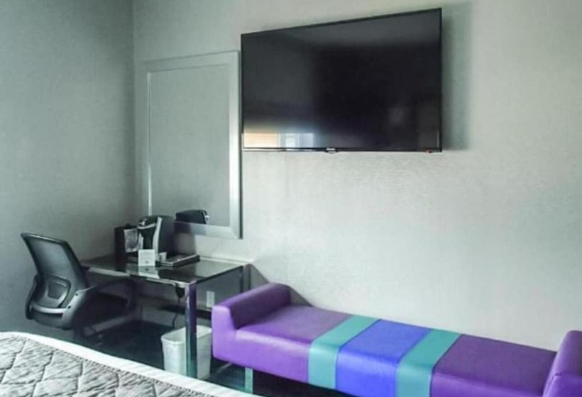 Umbrella Hotel Bronx