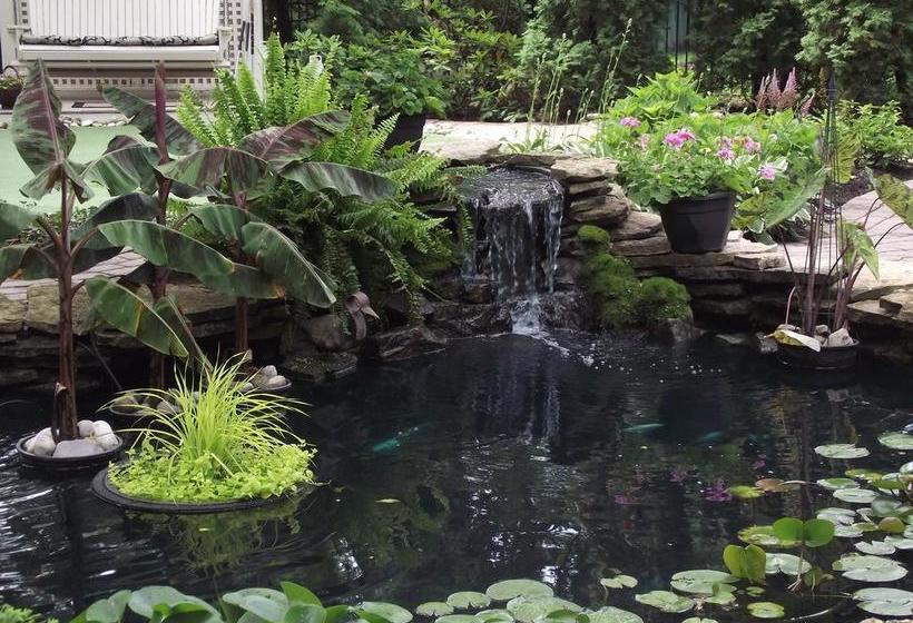 فندق Historic Davy House Bed & Breakfast