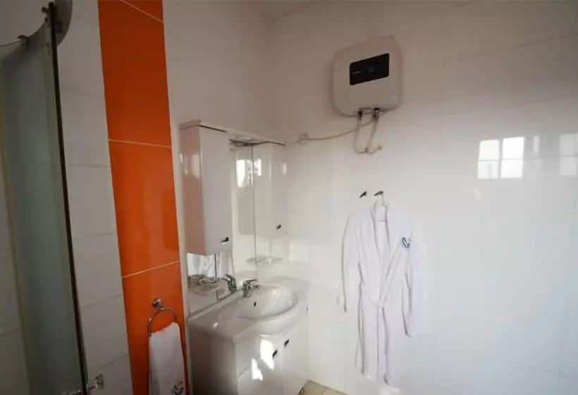 Hotel Tema Central