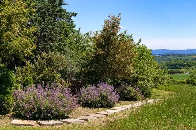 ホテル Bed & Breakfast Villa Velia