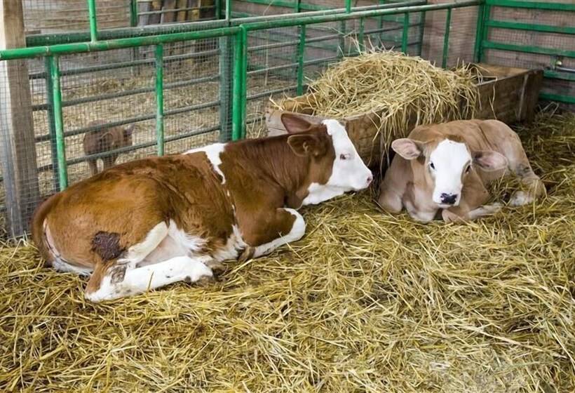 בית מלון כפרי Relais Il Mulino