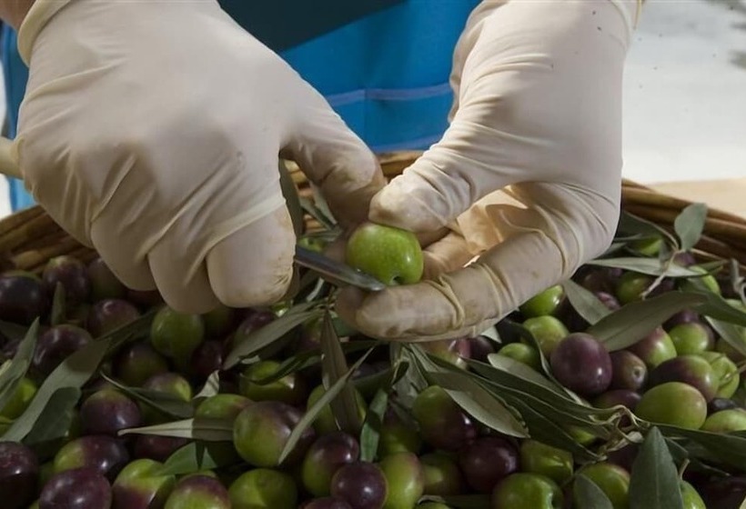 בית מלון כפרי Relais Il Mulino