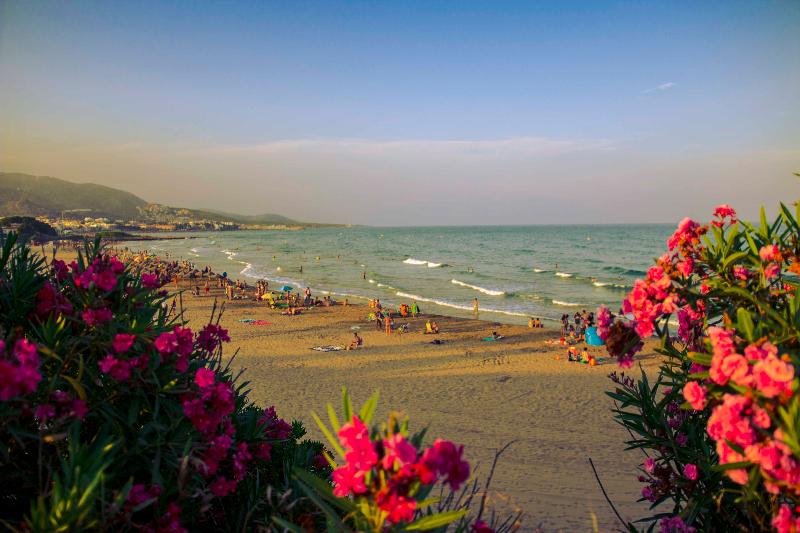 Apartments Kione Playa Romana Park