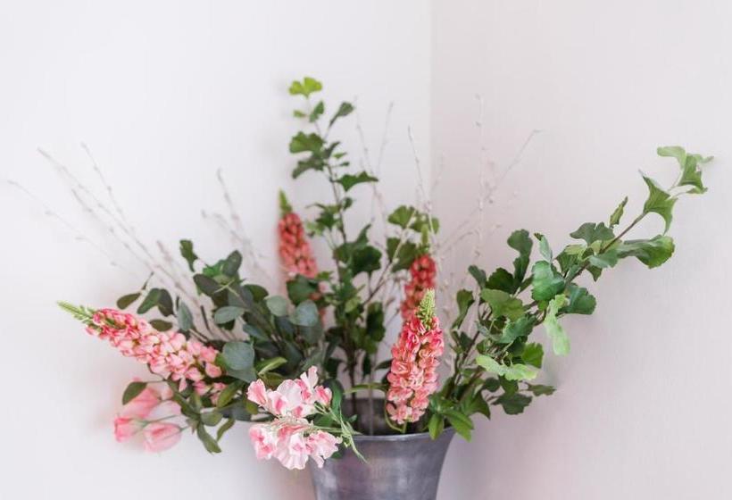 Charles Bridge International Hostel