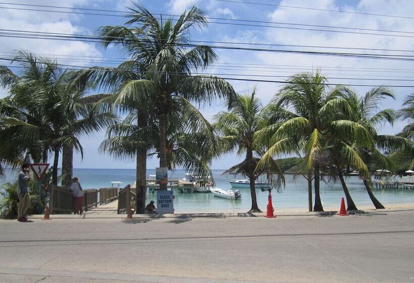 هتل Coconut Tree West End