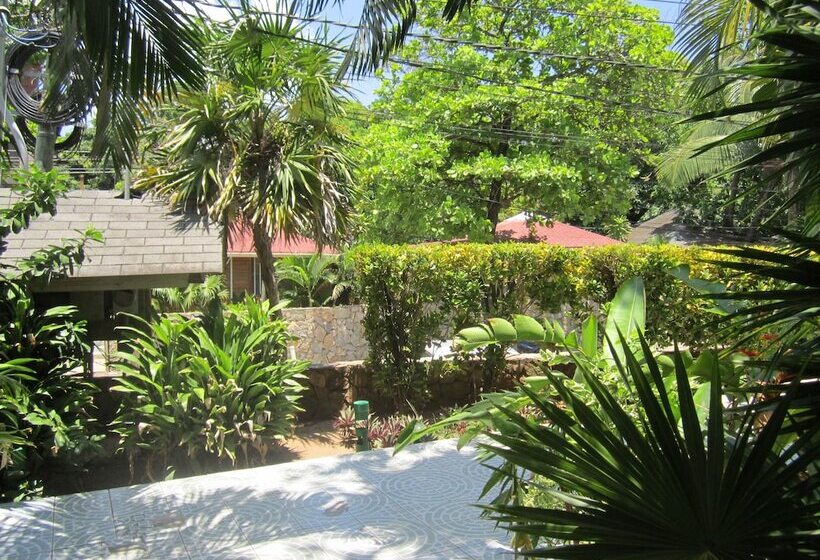 هتل Coconut Tree West End