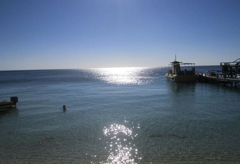 هتل Coconut Tree West End