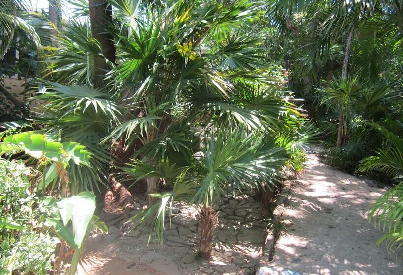 هتل Coconut Tree West End