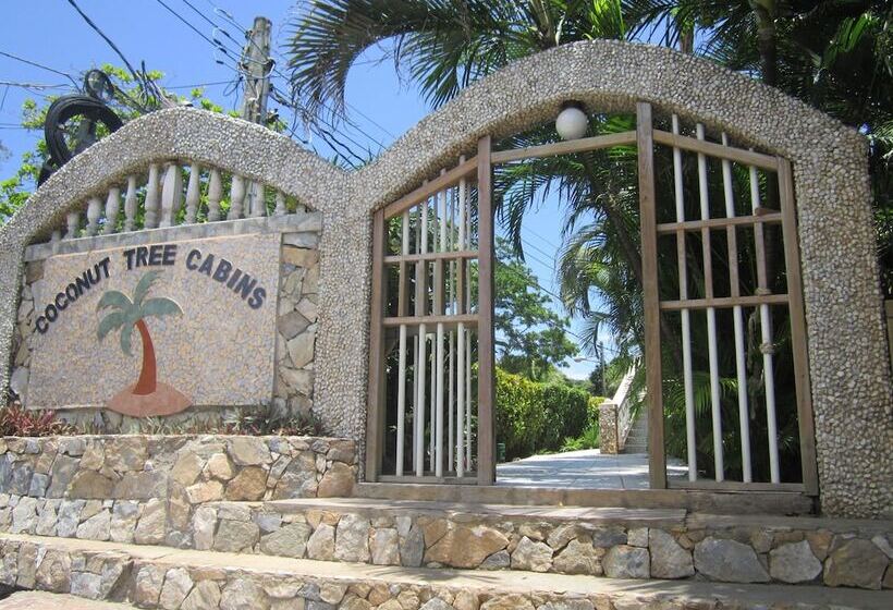 هتل Coconut Tree West End