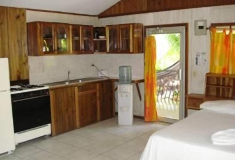 هتل Coconut Tree West End