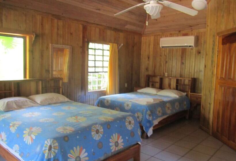 هتل Coconut Tree West End