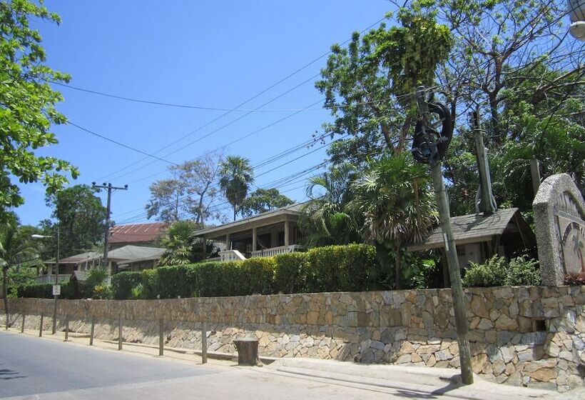 هتل Coconut Tree West End