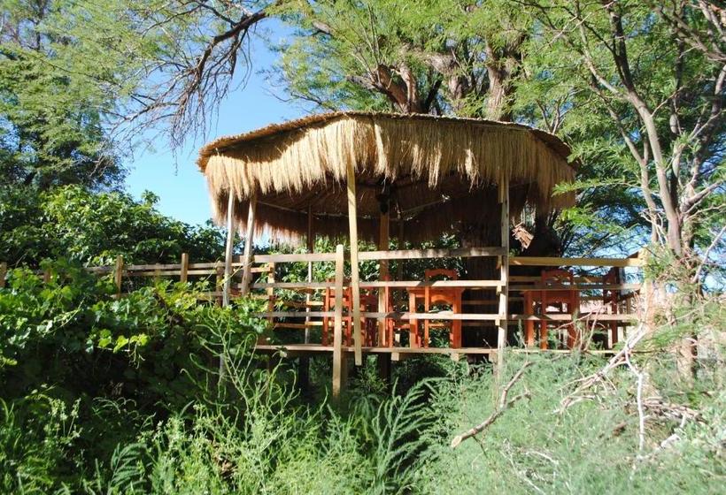فندق Hospedaje Rural Rincon De Quitor