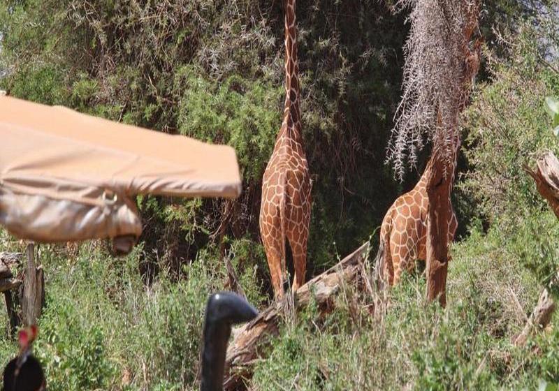 هتل Saruni Samburu