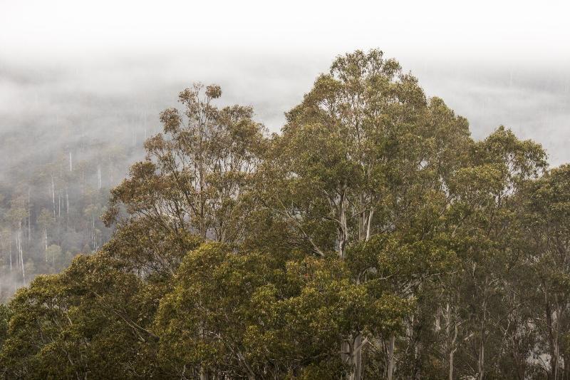 Отель Tarraleah Estate