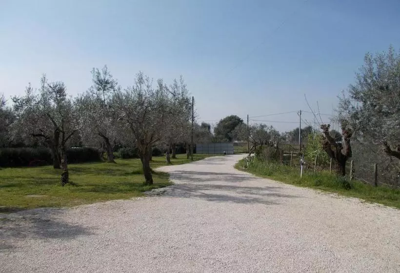 تختخواب و صبحانه Casa Degli Ulivi