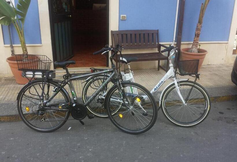 Nocleg ze śniadaniem Populus