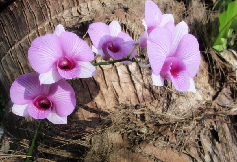 فندق Seavana Koh Mak Beach Resort