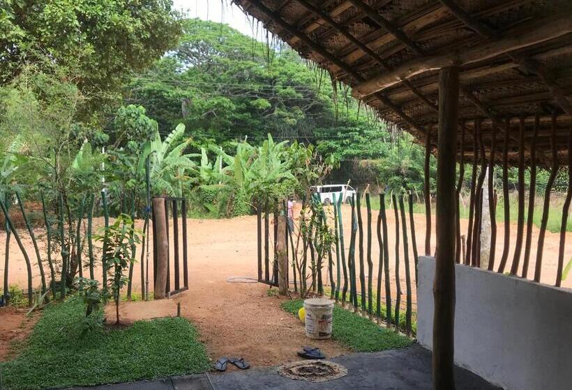 Bed & Breakfast Dillenia Canopy