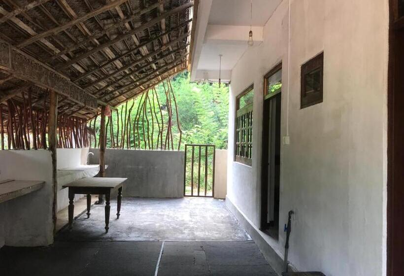 Bed & Breakfast Dillenia Canopy